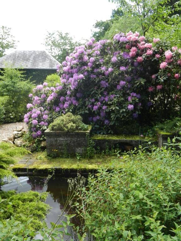 Les Roulottes De La Risle Villa Calleville Kamer foto